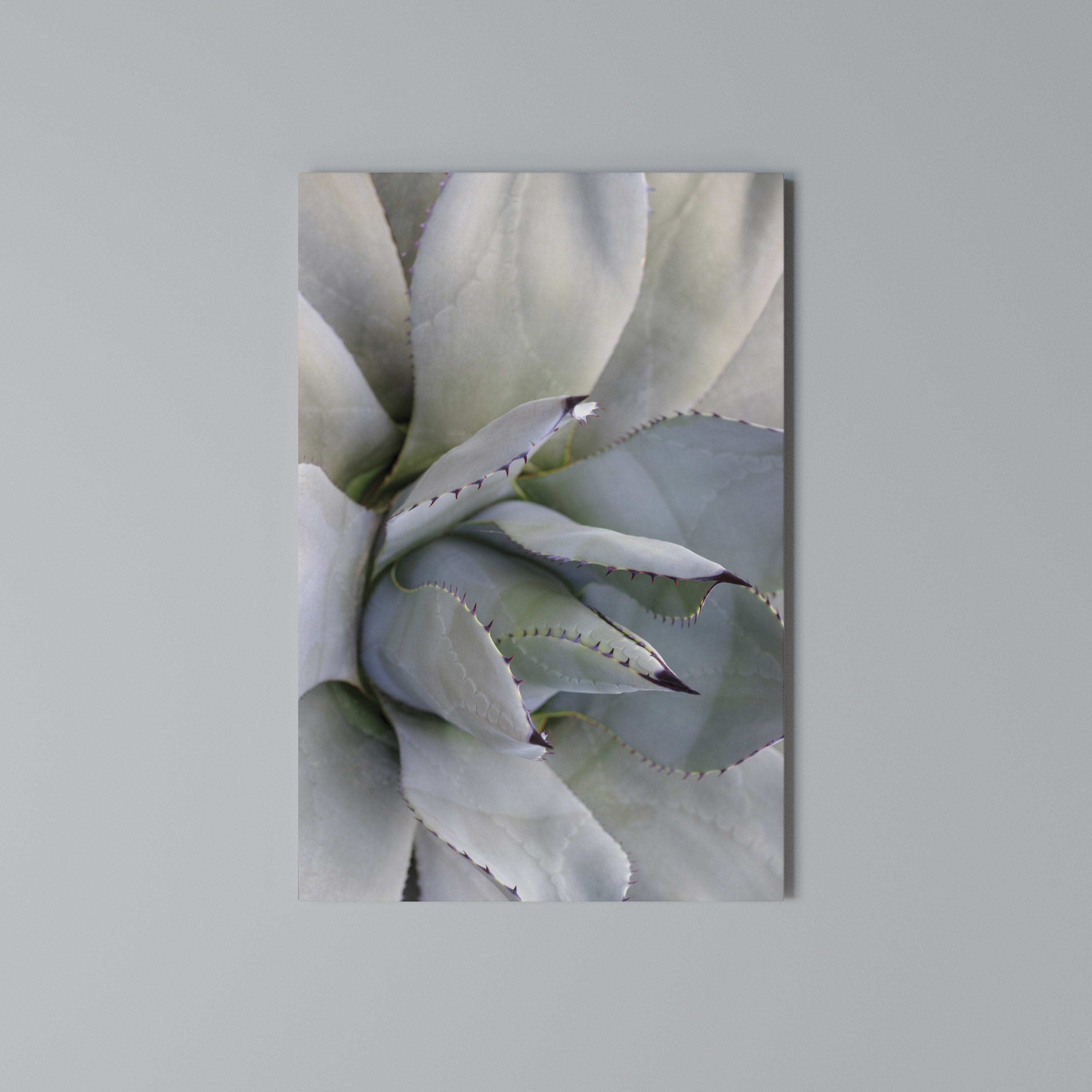 AGAVE ELEGANCE Quadro em tela vertical
