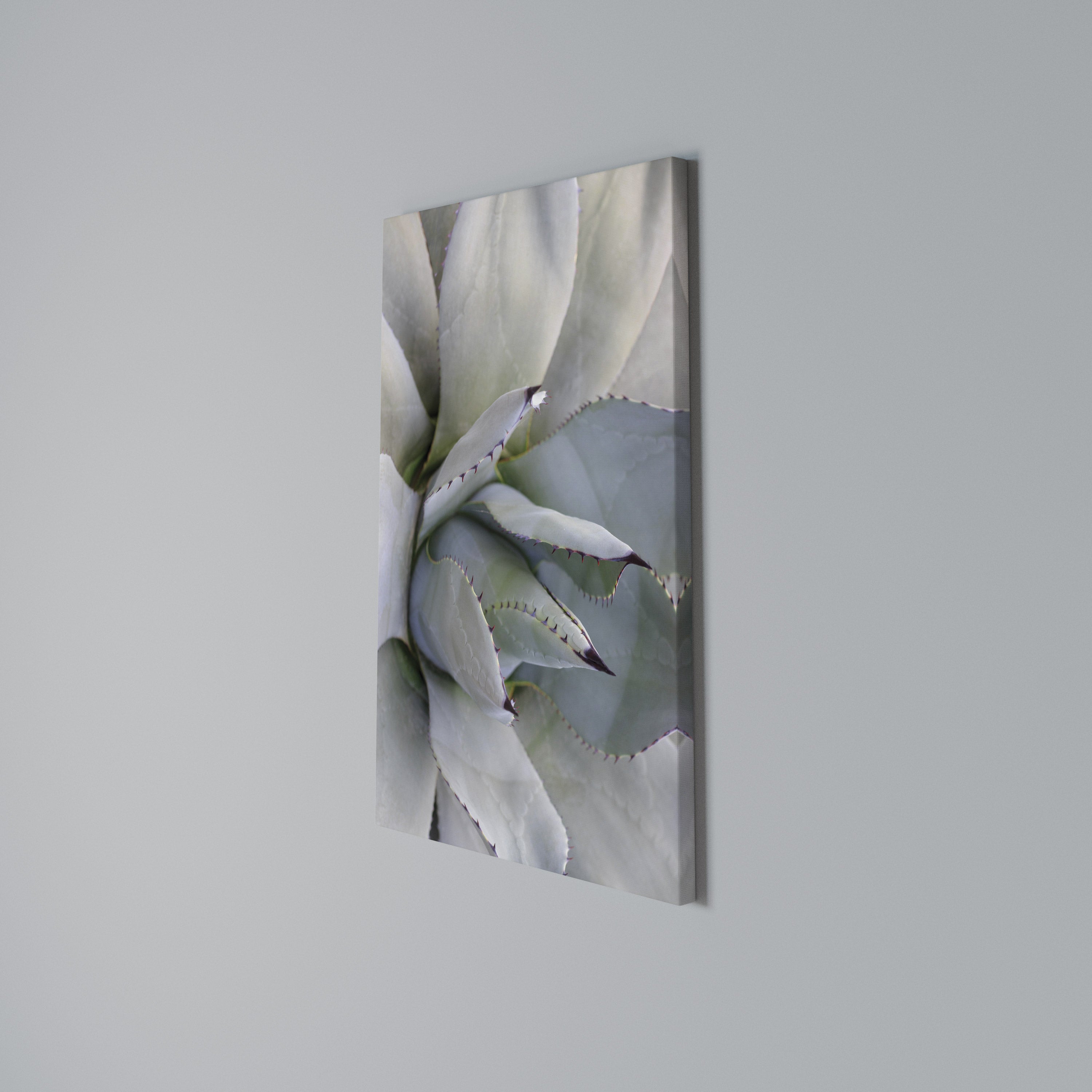 AGAVE ELEGANCE Quadro em tela vertical