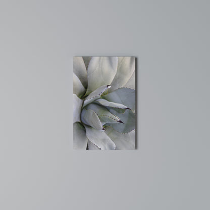 AGAVE ELEGANCE Quadro em tela vertical