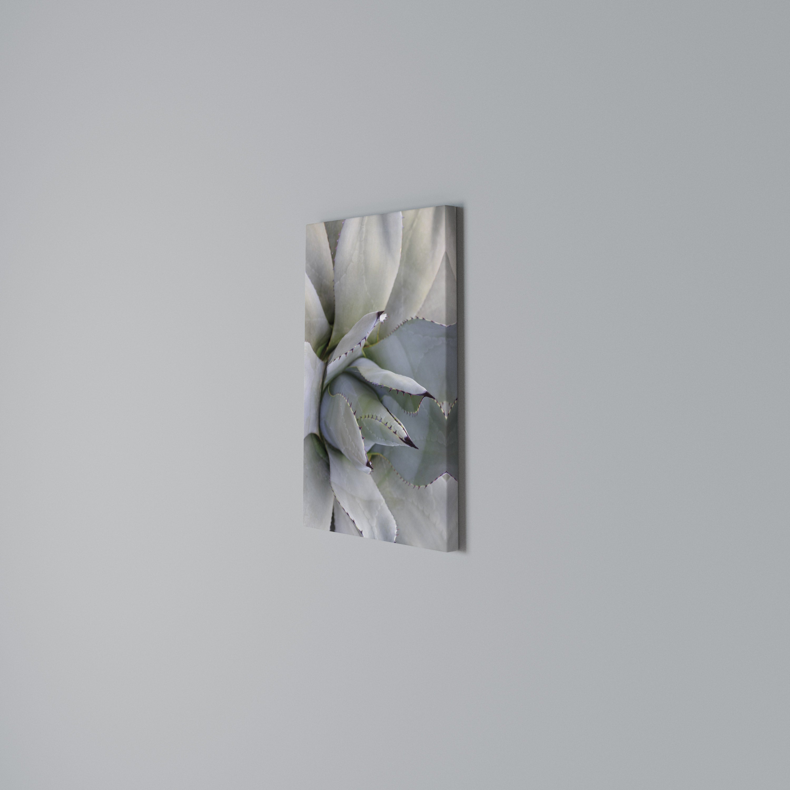 AGAVE ELEGANCE Quadro em tela vertical