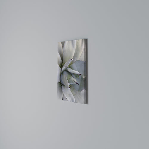 AGAVE ELEGANCE Quadro em tela vertical