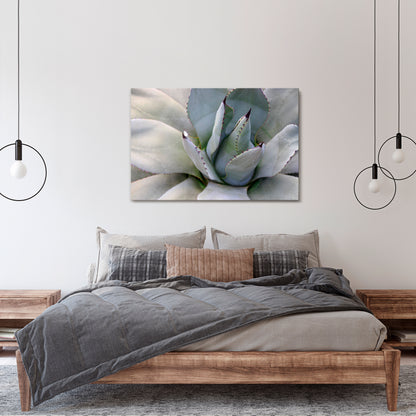 AGAVE ELEGANCE Horizontal Canvas Print