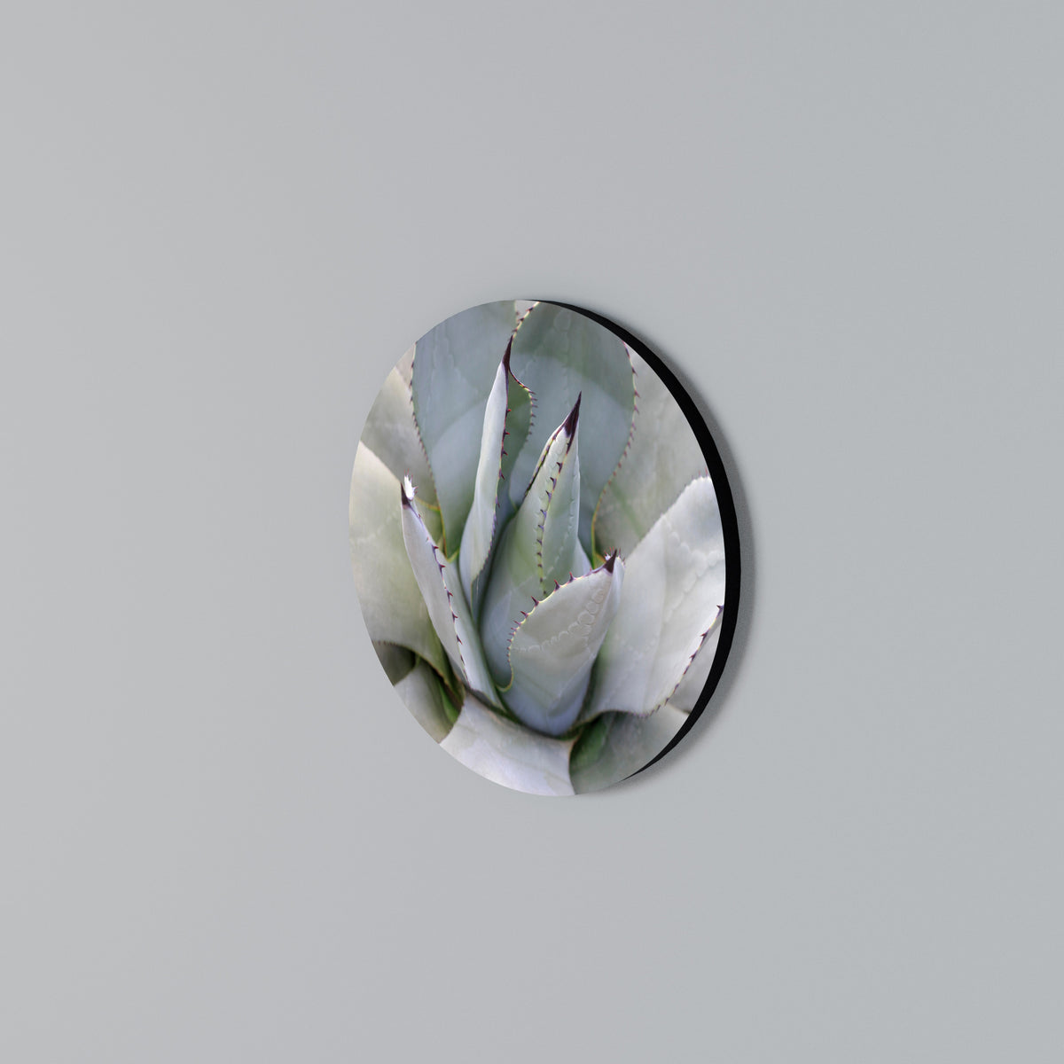 AGAVE ELEGANCE Arte de Parede Redonda