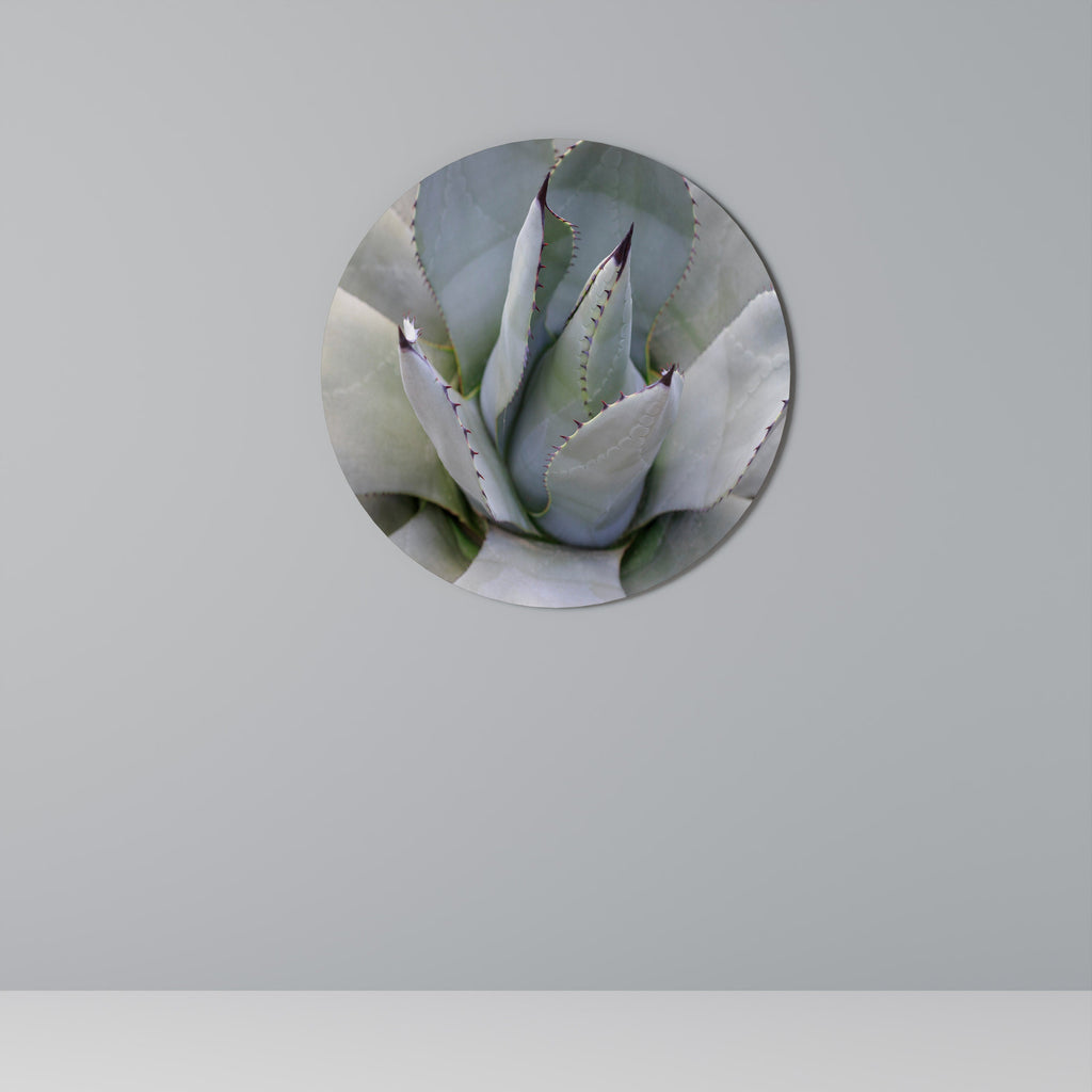 AGAVE ELEGANCE Quadro Redondo Decorativo