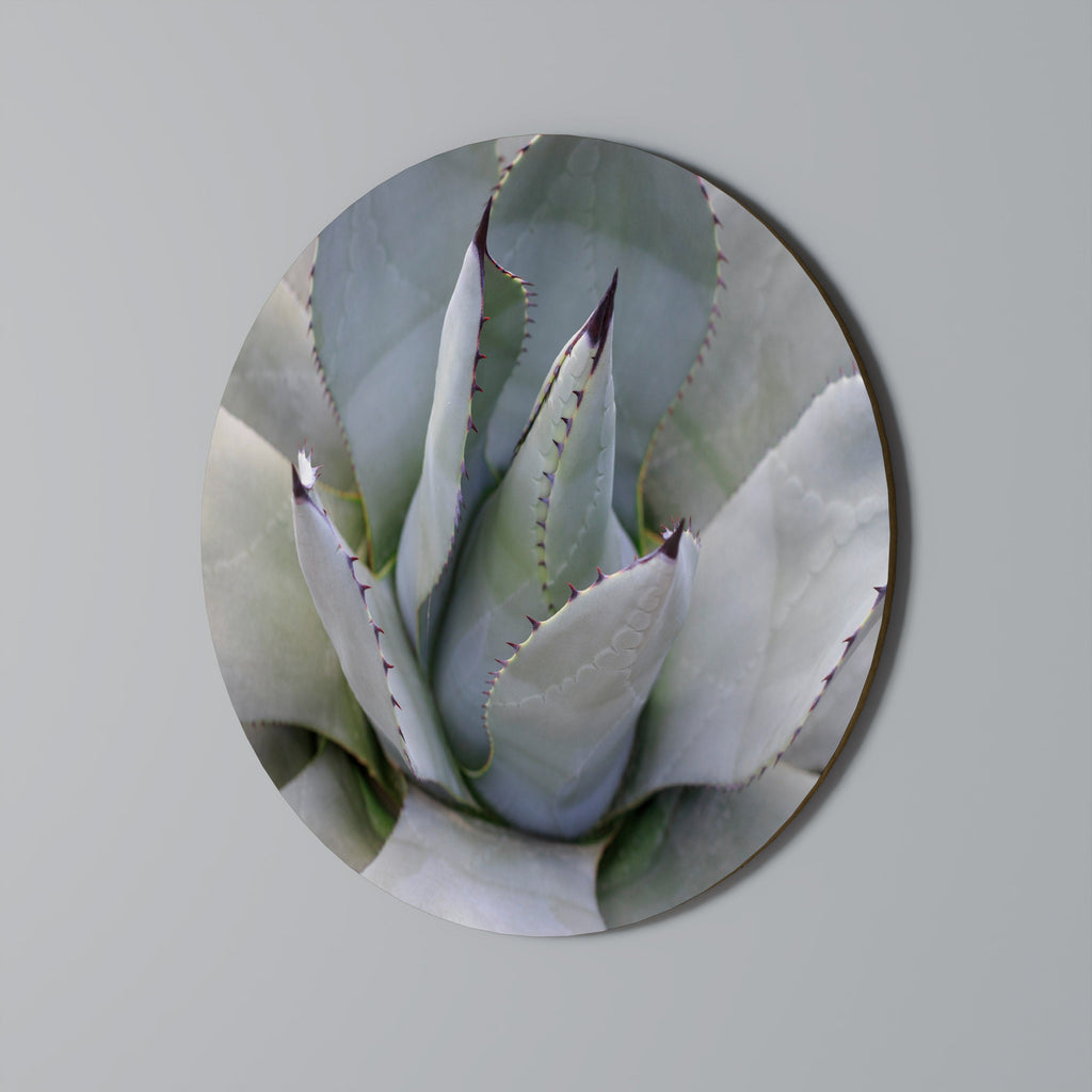 AGAVE ELEGANCE Quadro Redondo Decorativo