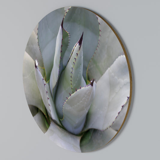 AGAVE ELEGANCE Arte de Parede Redonda