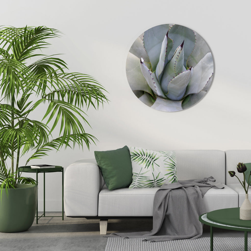 AGAVE ELEGANCE Quadro Redondo Decorativo