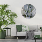 AGAVE ELEGANCE Quadro Redondo Decorativo