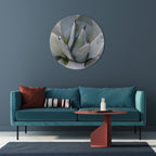 AGAVE ELEGANCE Quadro Redondo Decorativo