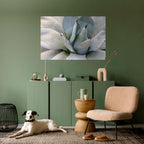AGAVE ELEGANCE Poster Horizontal Autocolante