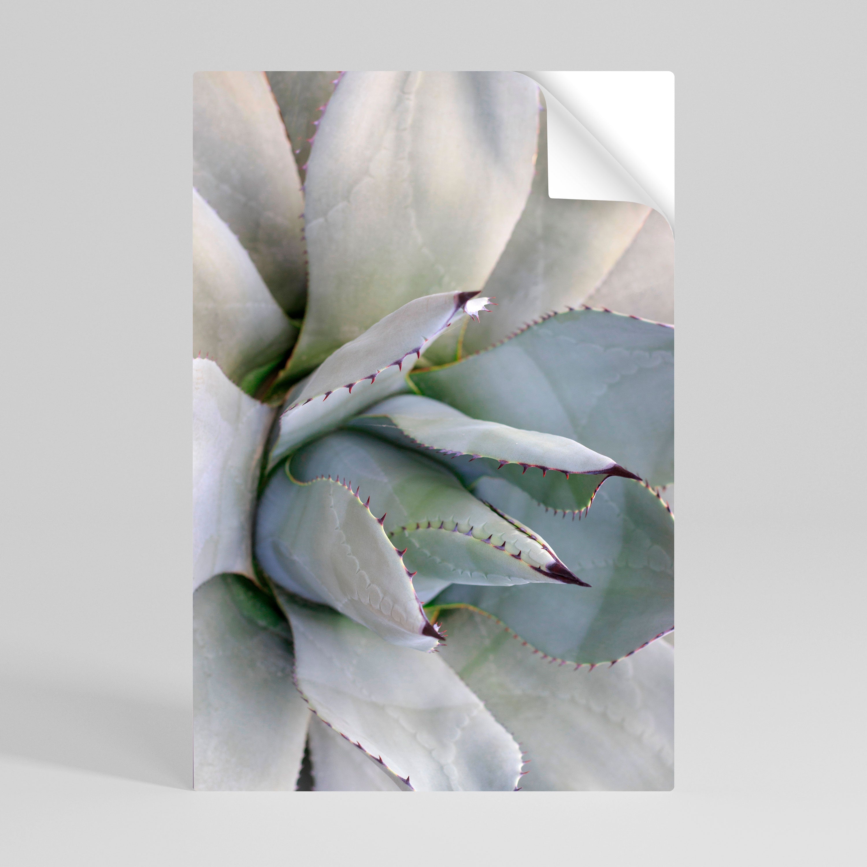 AGAVE ELEGANCE Peel and Stick Vertical Poster