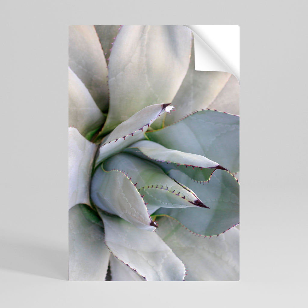 AGAVE ELEGANCE Poster Vertical Autocolante