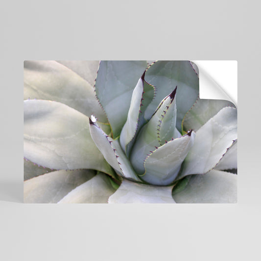 AGAVE ELEGANCE Póster Autocolante Horizontal