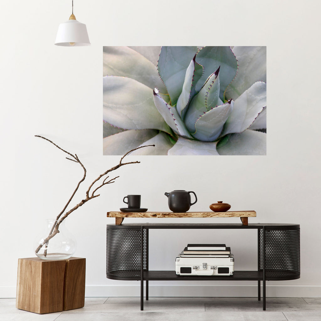 AGAVE ELEGANCE Poster Horizontal Autocolante