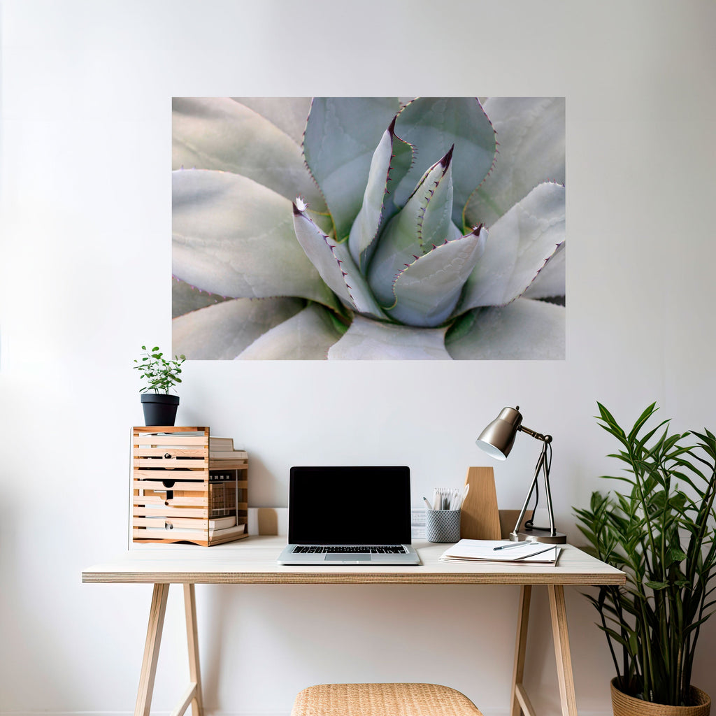 AGAVE ELEGANCE Poster Horizontal Autocolante