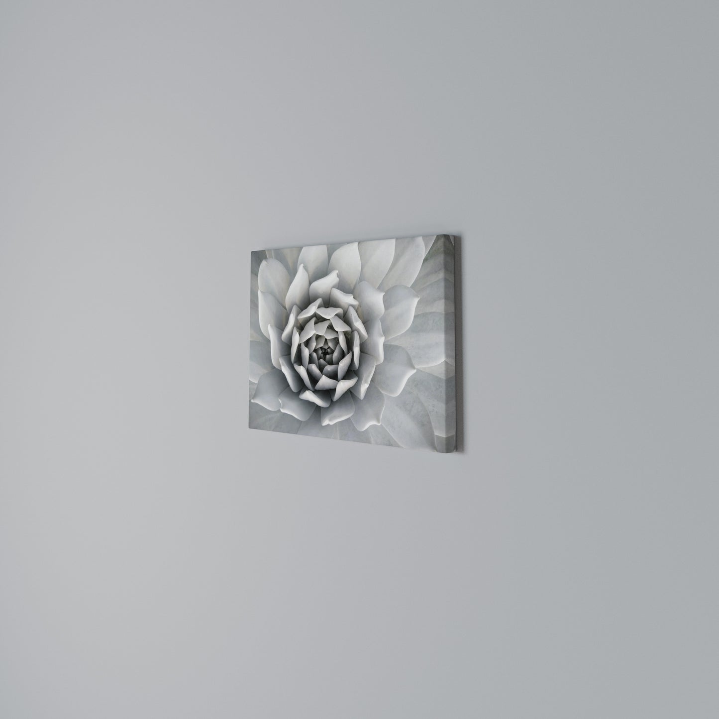 ELEGANT PETAL SWIRL Horizontal Canvas Print