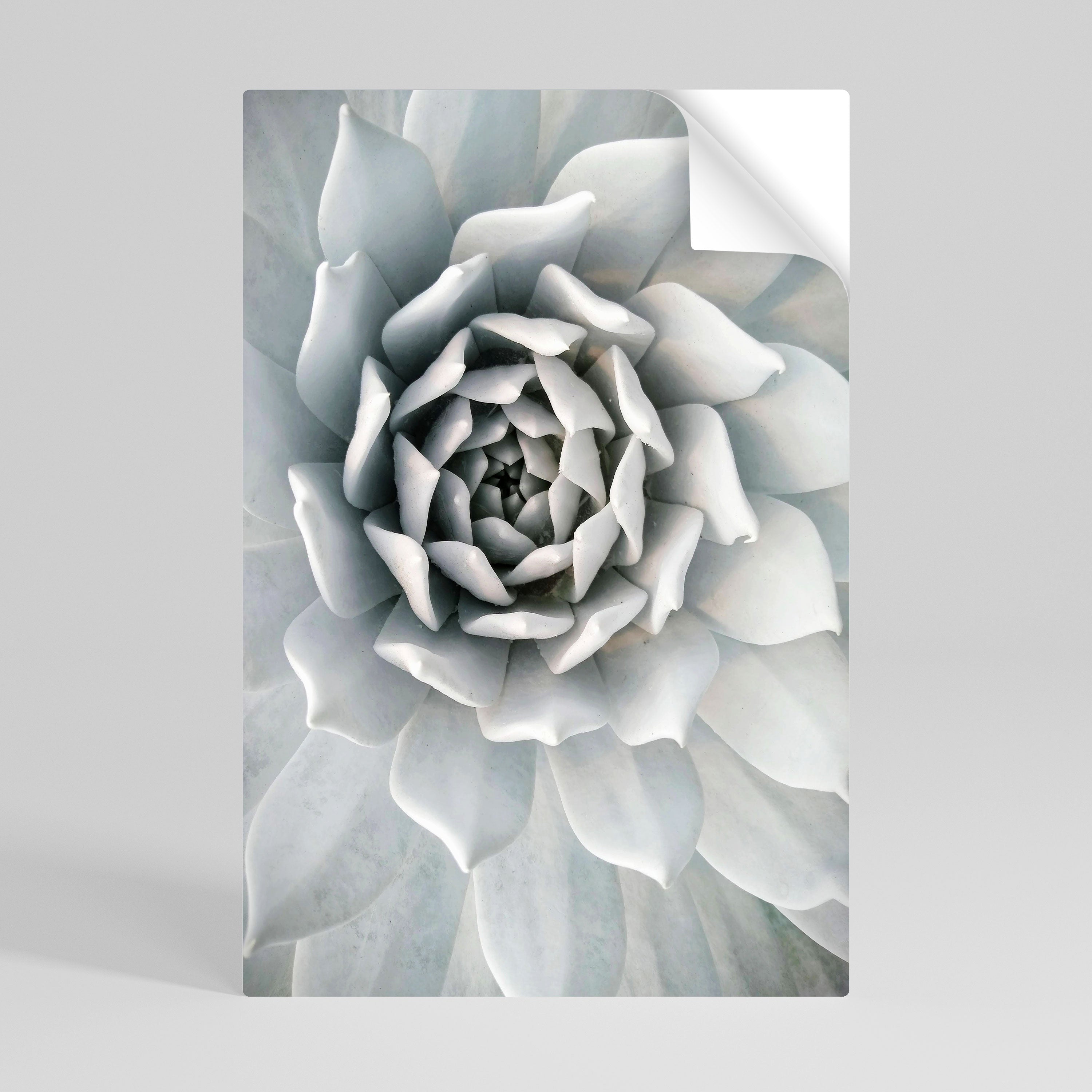 ELEGANT PETAL SWIRL Poster Vertical Autocolante