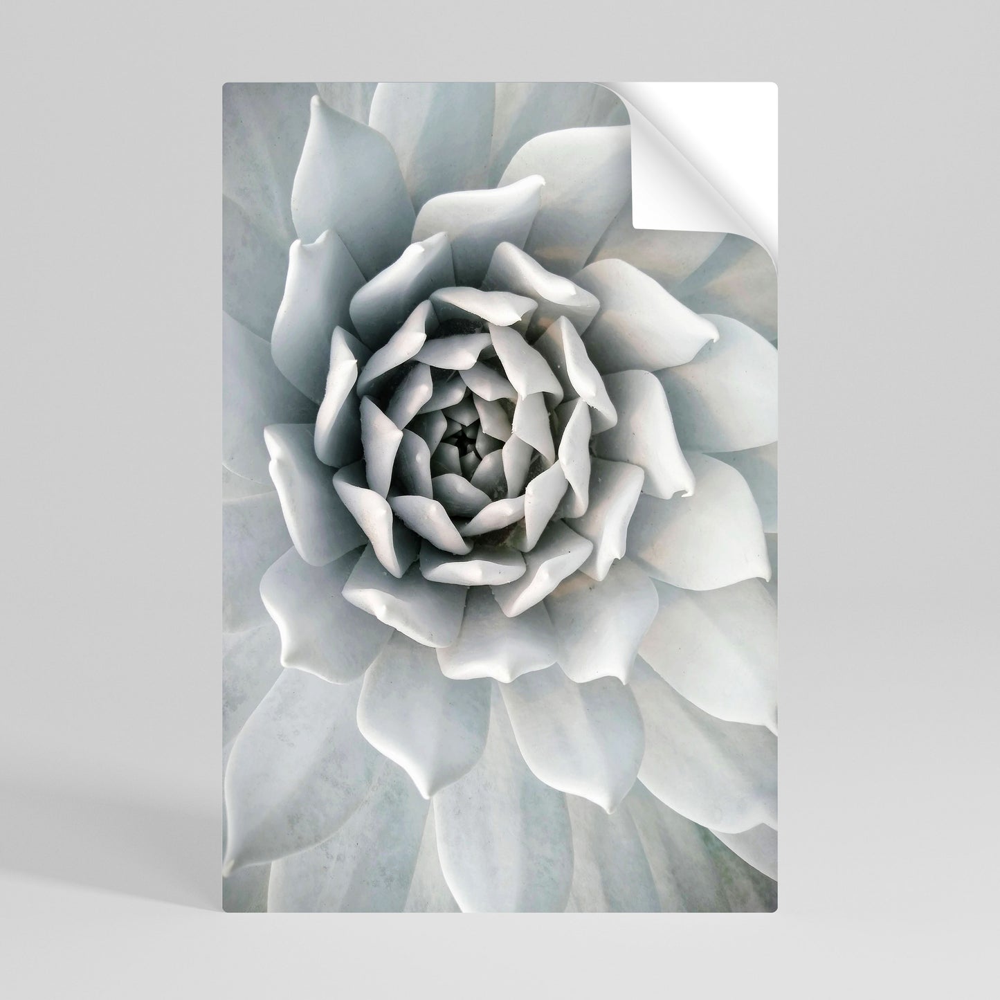 ELEGANT PETAL SWIRL Peel and Stick Vertical Poster