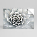 ELEGANT PETAL SWIRL Peel and Stick Horizontal Poster