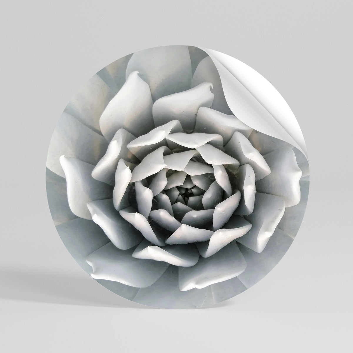 ELEGANT PETAL SWIRL Autocolante Redondo Removível