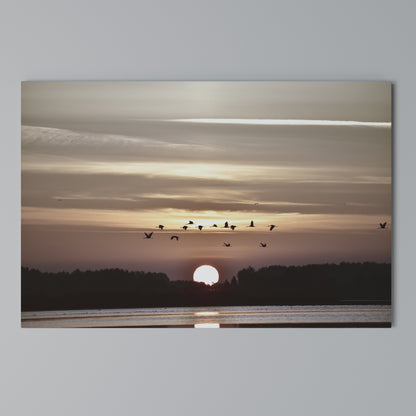 SUNSET FLIGHT SYMPHONY Horizontal Canvas Print