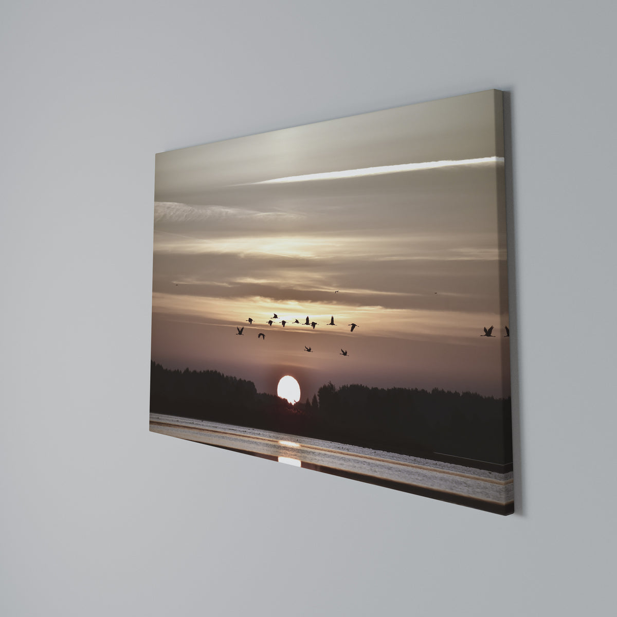 SUNSET FLIGHT SYMPHONY Horizontal Canvas Print