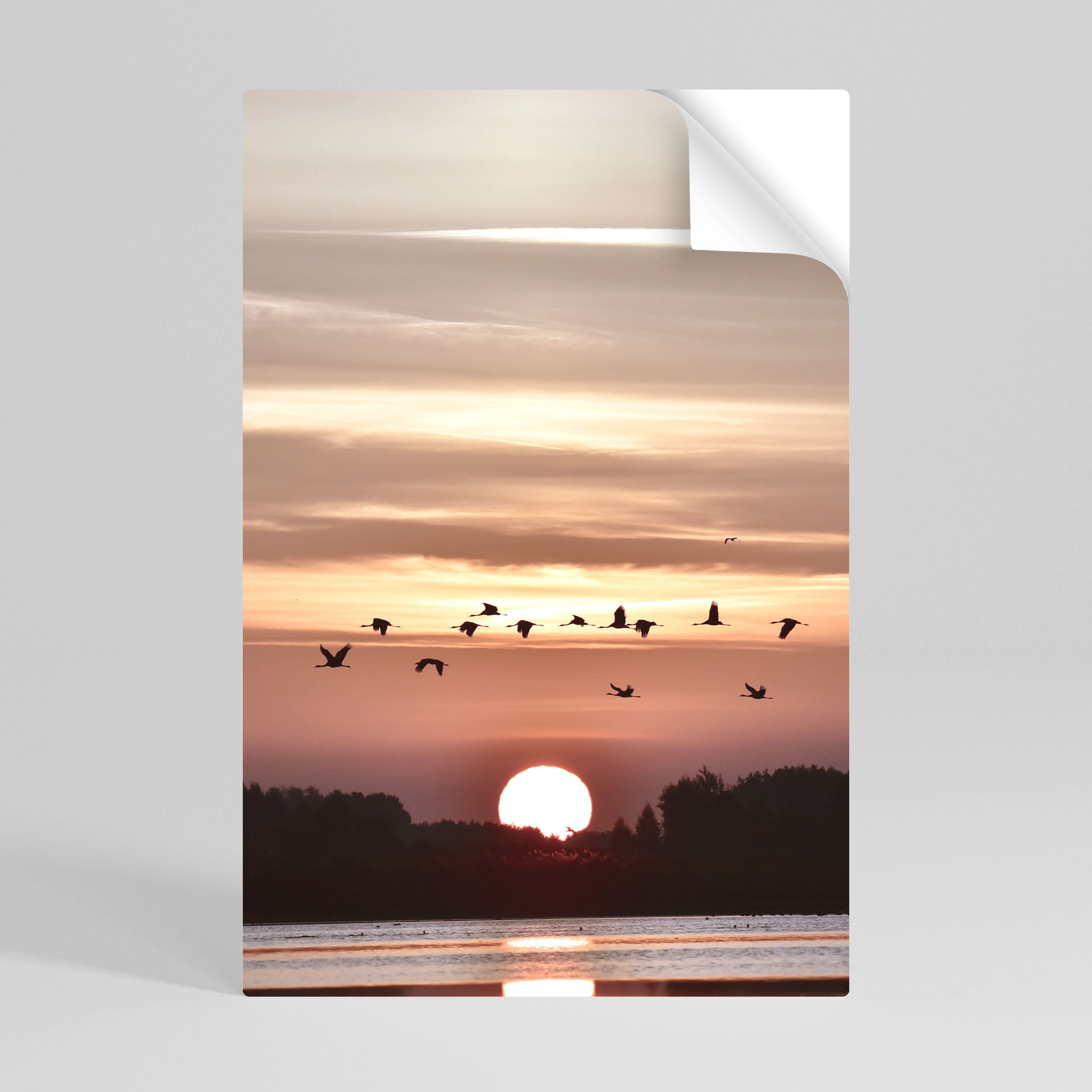 SUNSET FLIGHT SYMPHONY Póster Autocolante Vertical
