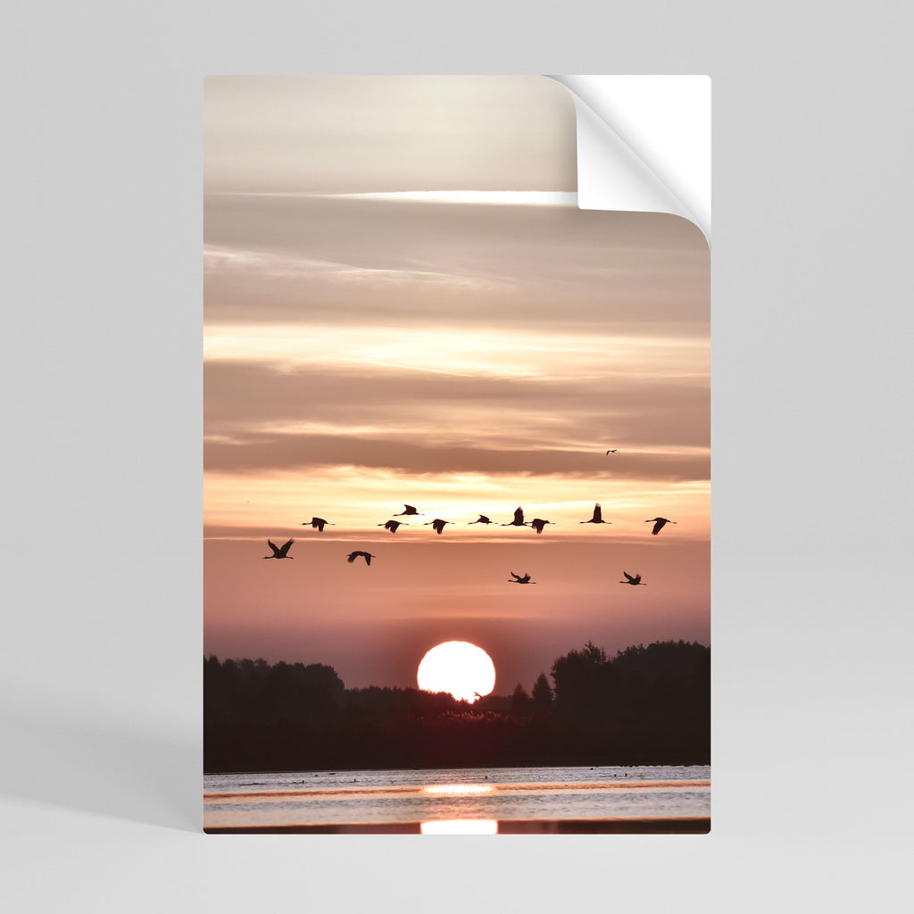 SUNSET FLIGHT SYMPHONY Poster Vertical Autocolante