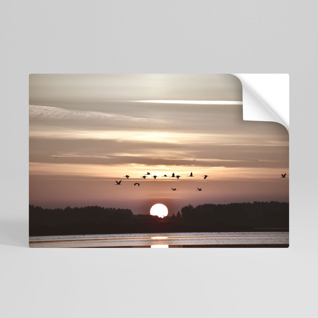 SUNSET FLIGHT SYMPHONY Peel and Stick Horizontal Poster