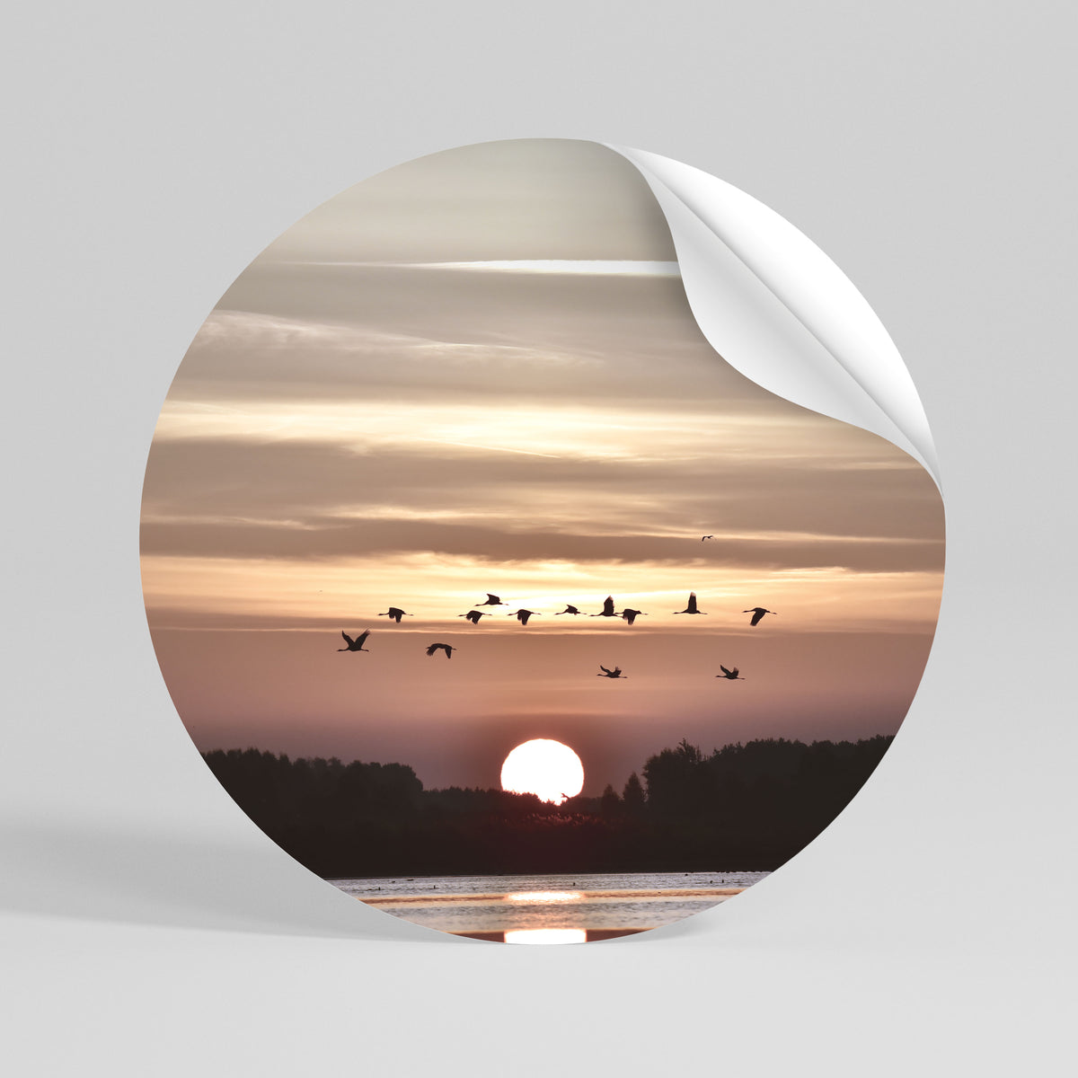 SUNSET FLIGHT SYMPHONY Autocolante Redondo Removível