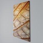 ELEGANT VEINING Quadro em tela vertical