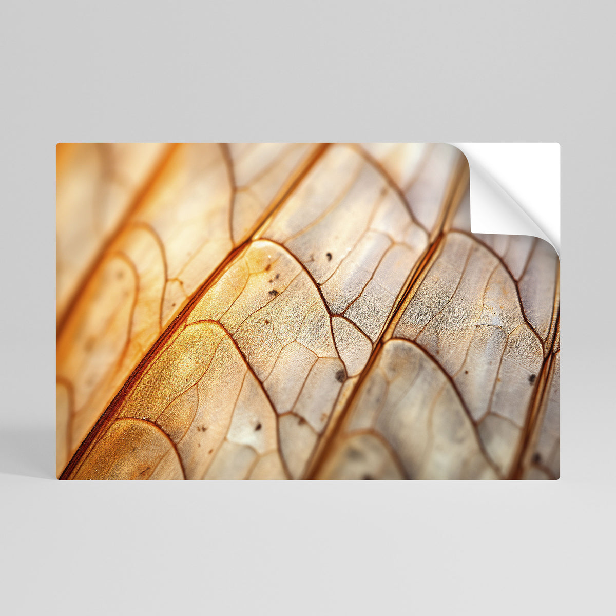 ELEGANT VEINING Peel and Stick Horizontal Poster