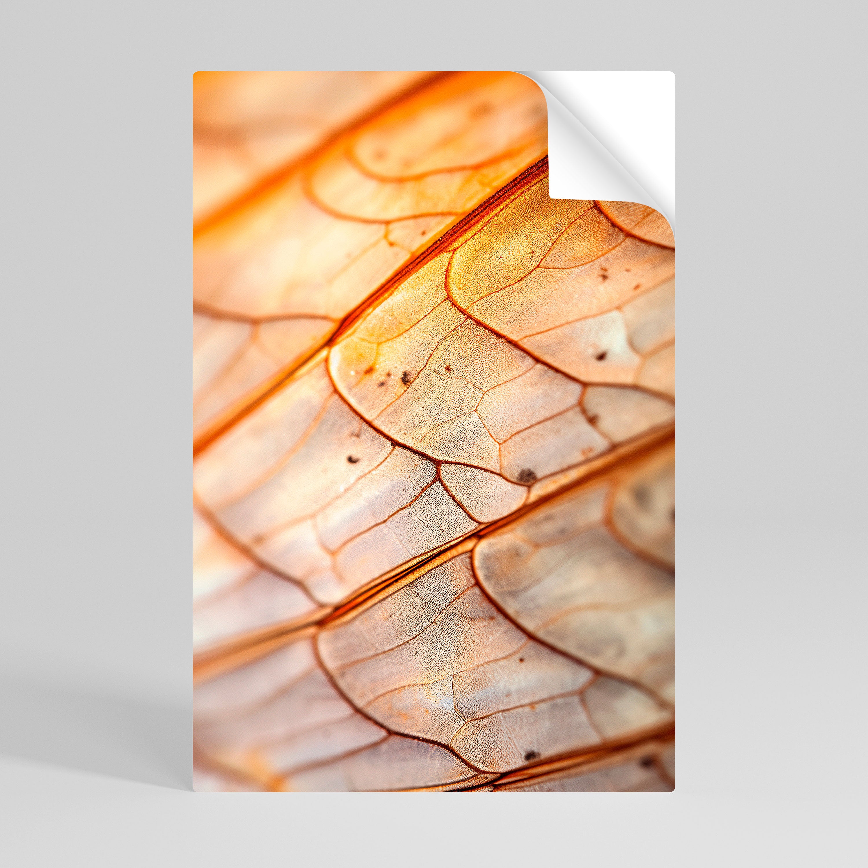 ELEGANT VEINING Póster Autocolante Vertical