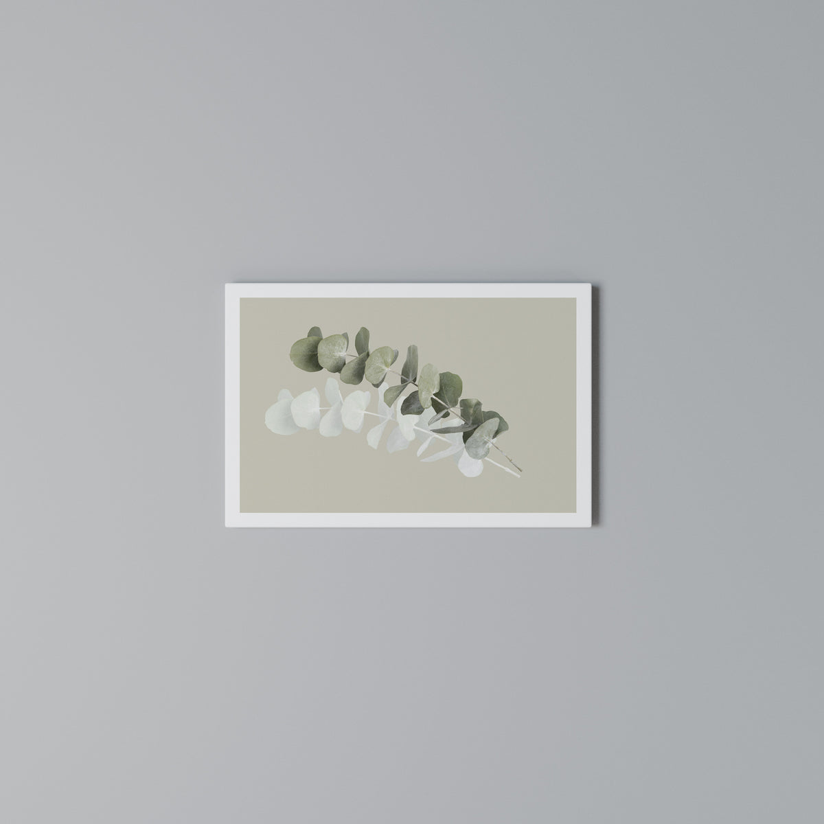 TRANSLUCENT NATURE Horizontal Canvas Print