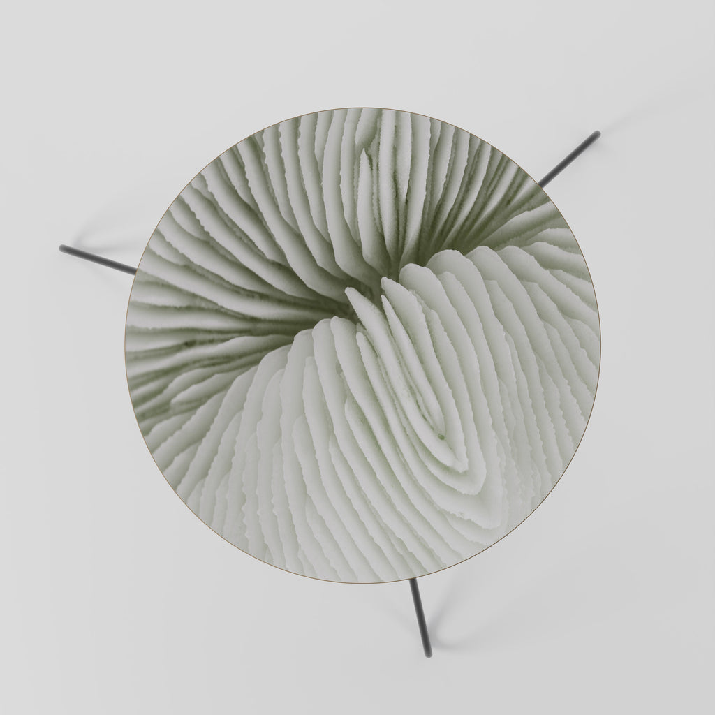 NATURE'S SYMMETRY Coffee Table 60