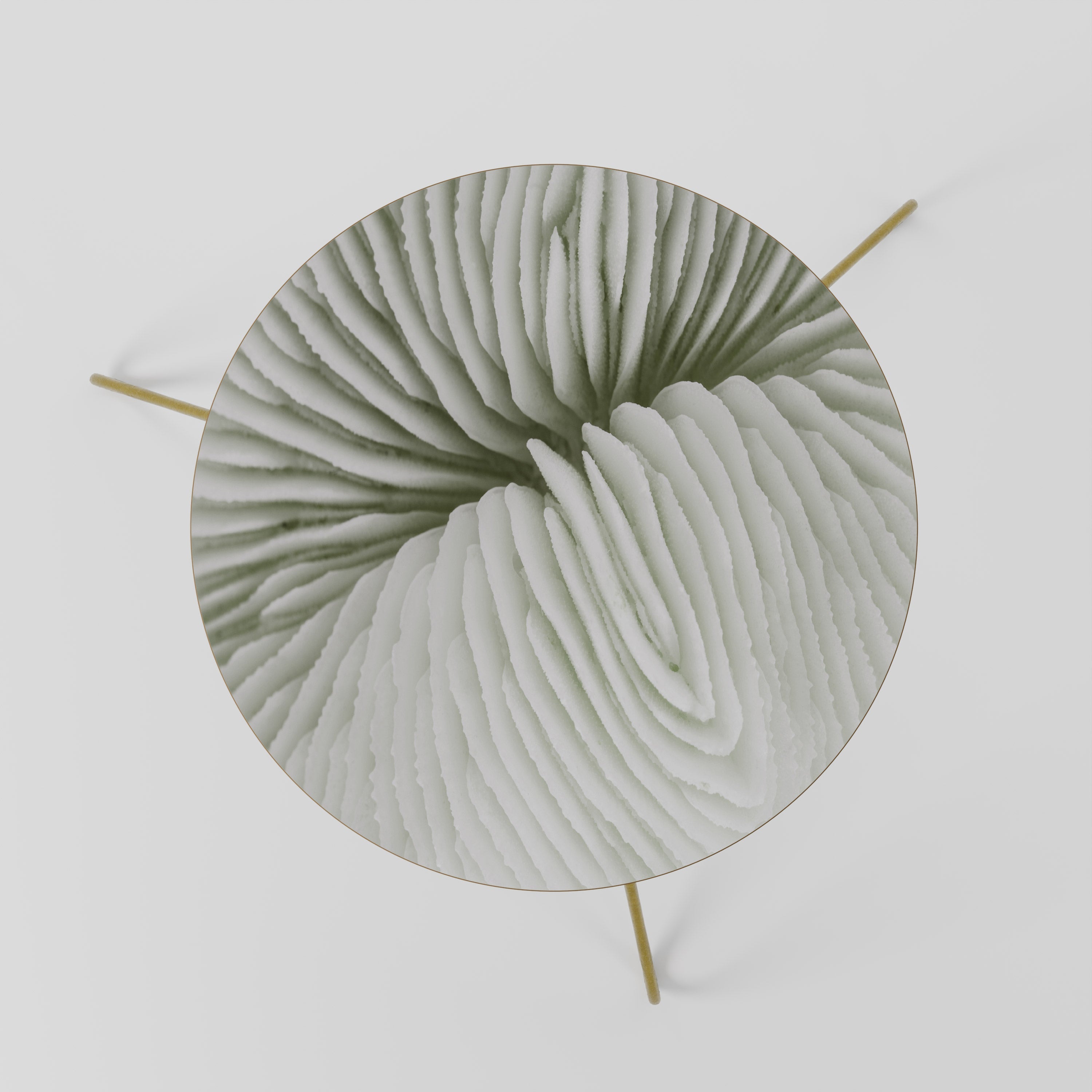 NATURE'S SYMMETRY Coffee Table 60