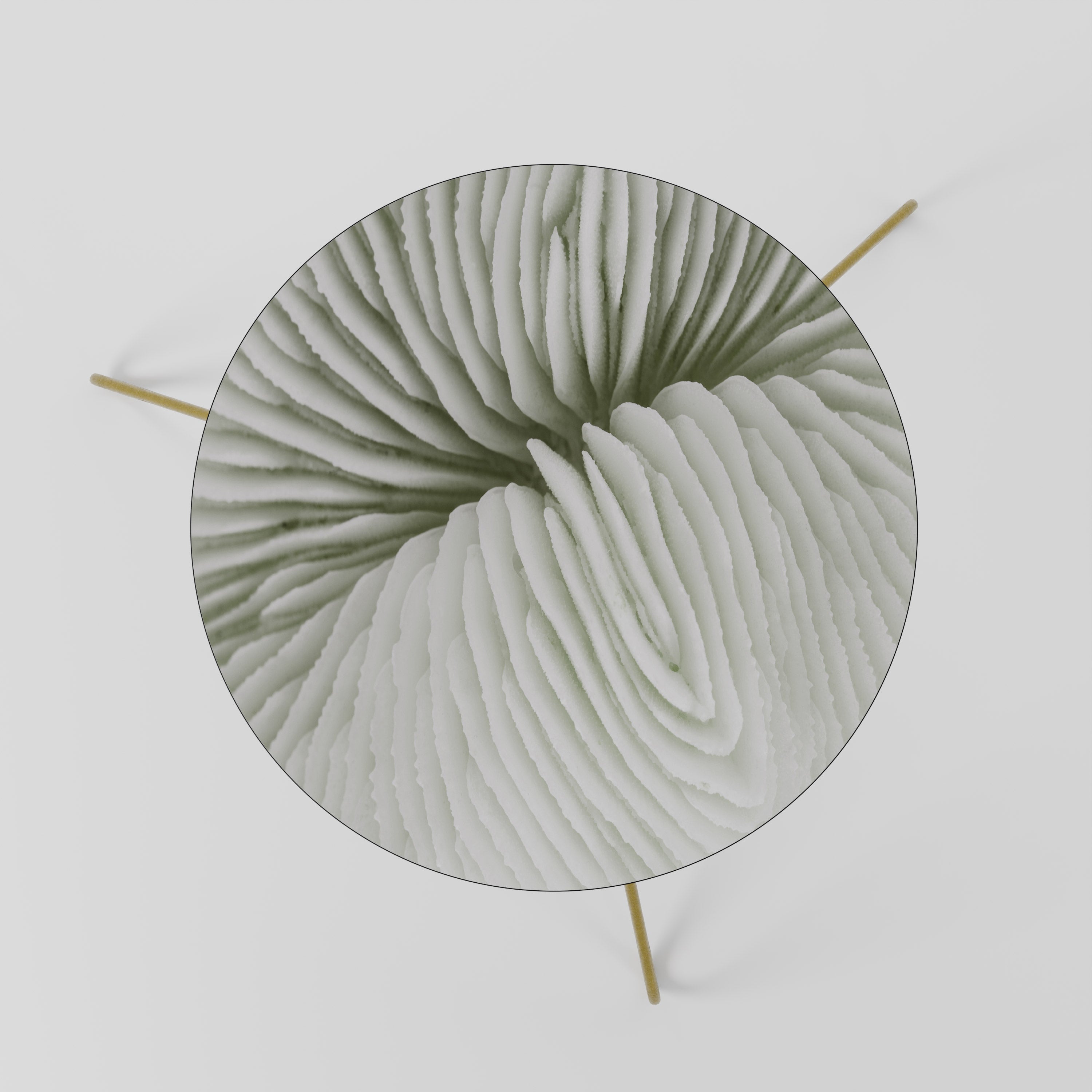 NATURE'S SYMMETRY Coffee Table 60