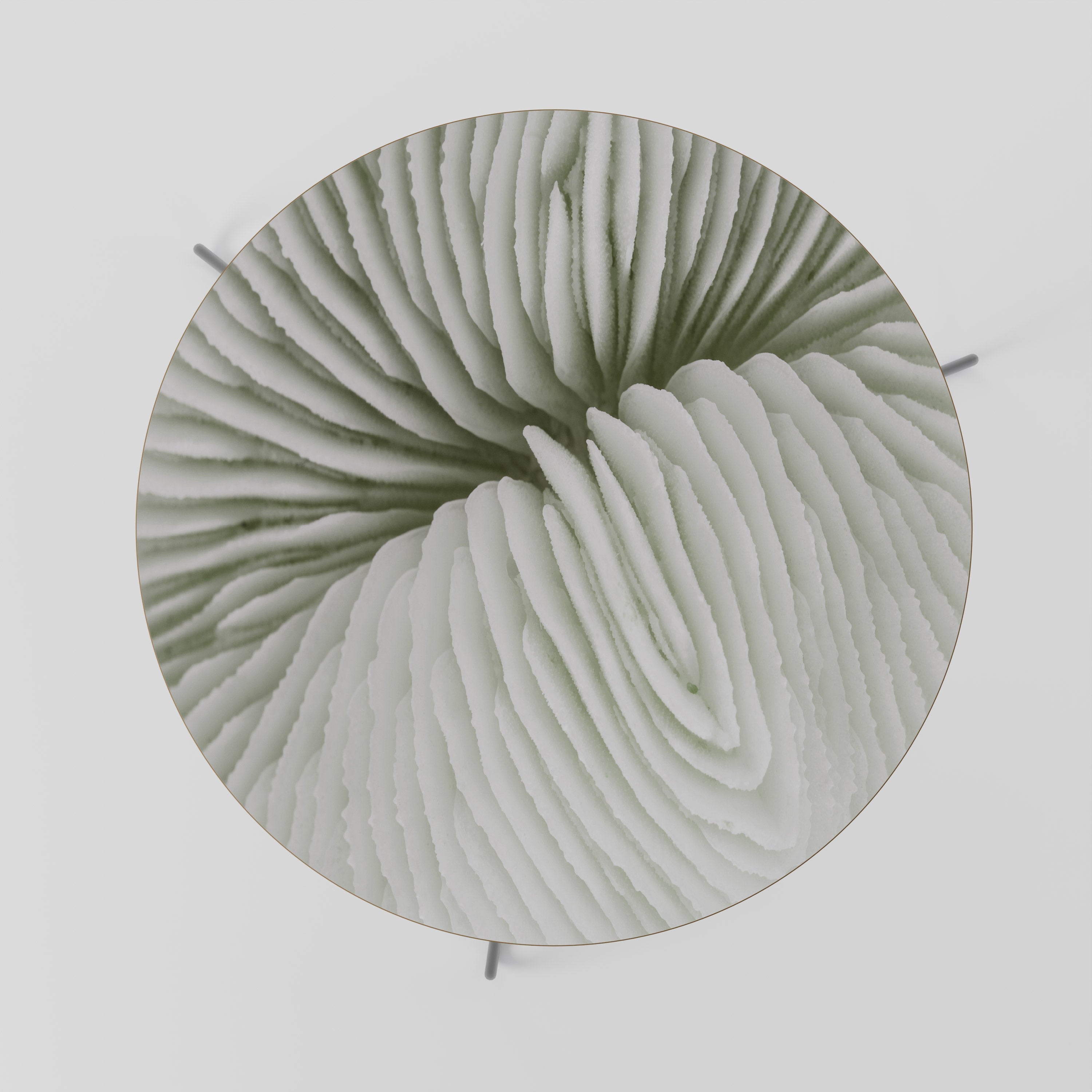 NATURE'S SYMMETRY Mesa de Centro 69