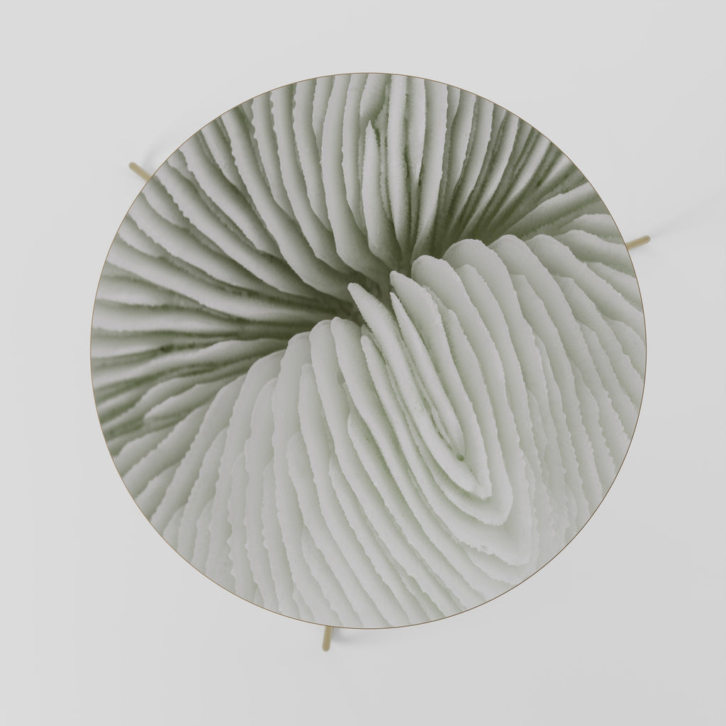 NATURE'S SYMMETRY Mesa de Centro 69