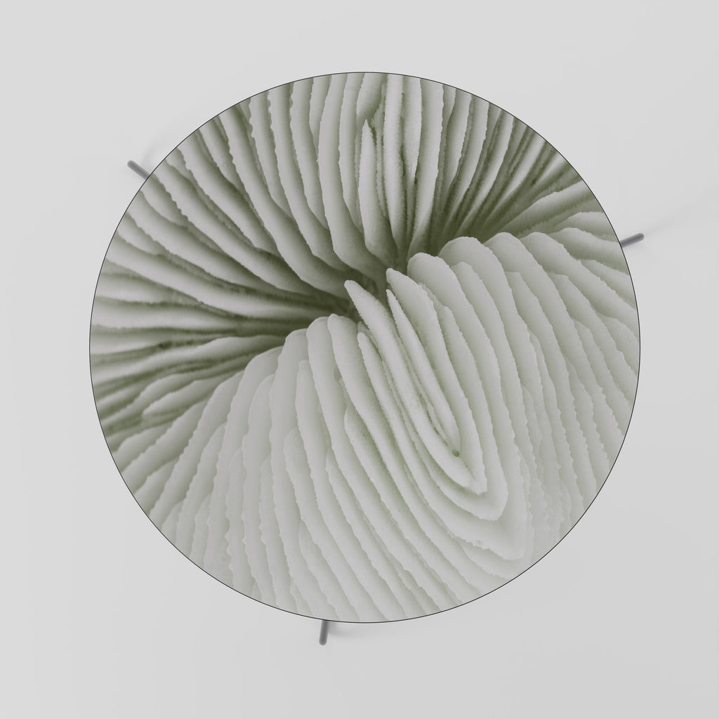 NATURE'S SYMMETRY Mesa de Centro 69