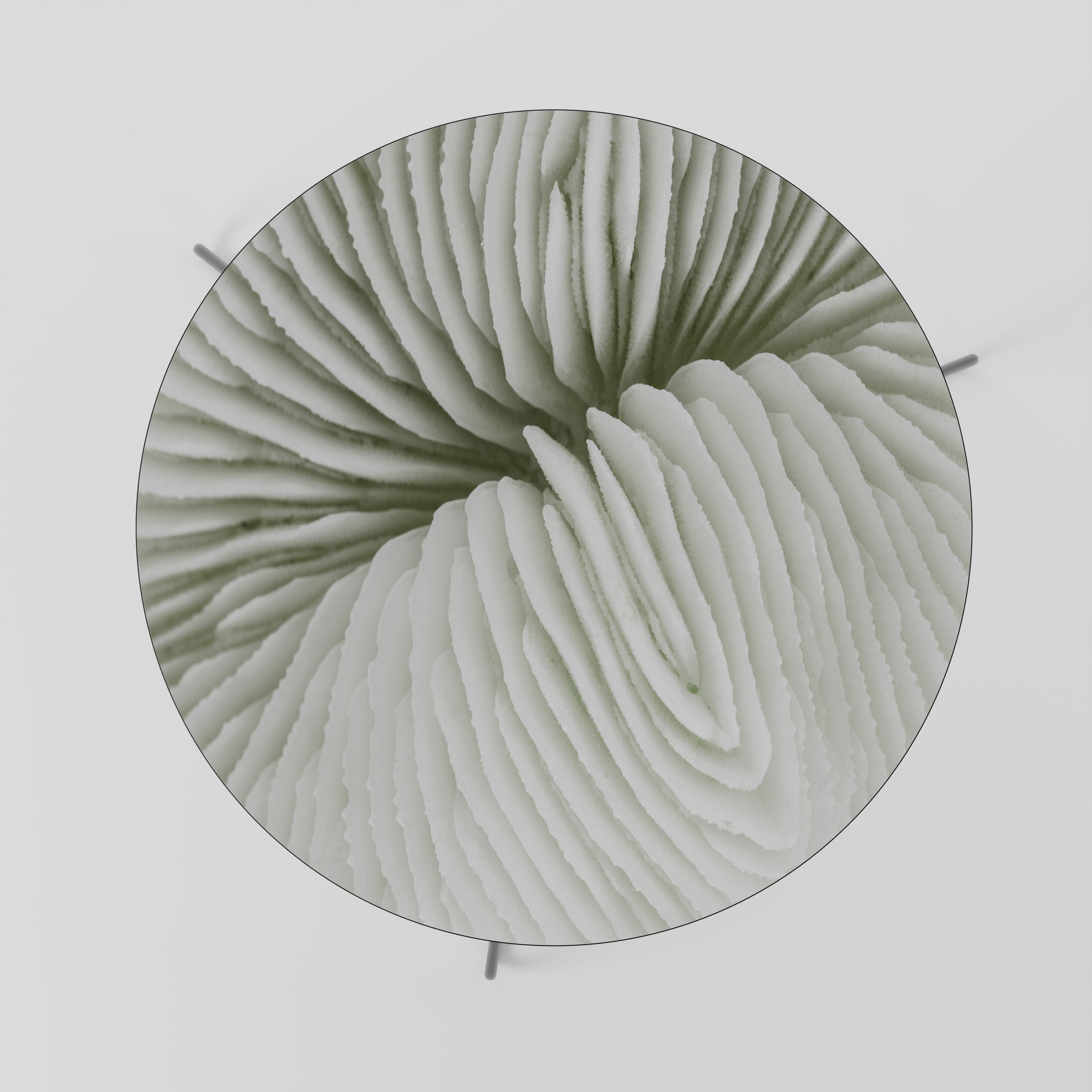 NATURE'S SYMMETRY Mesa de Centro 69