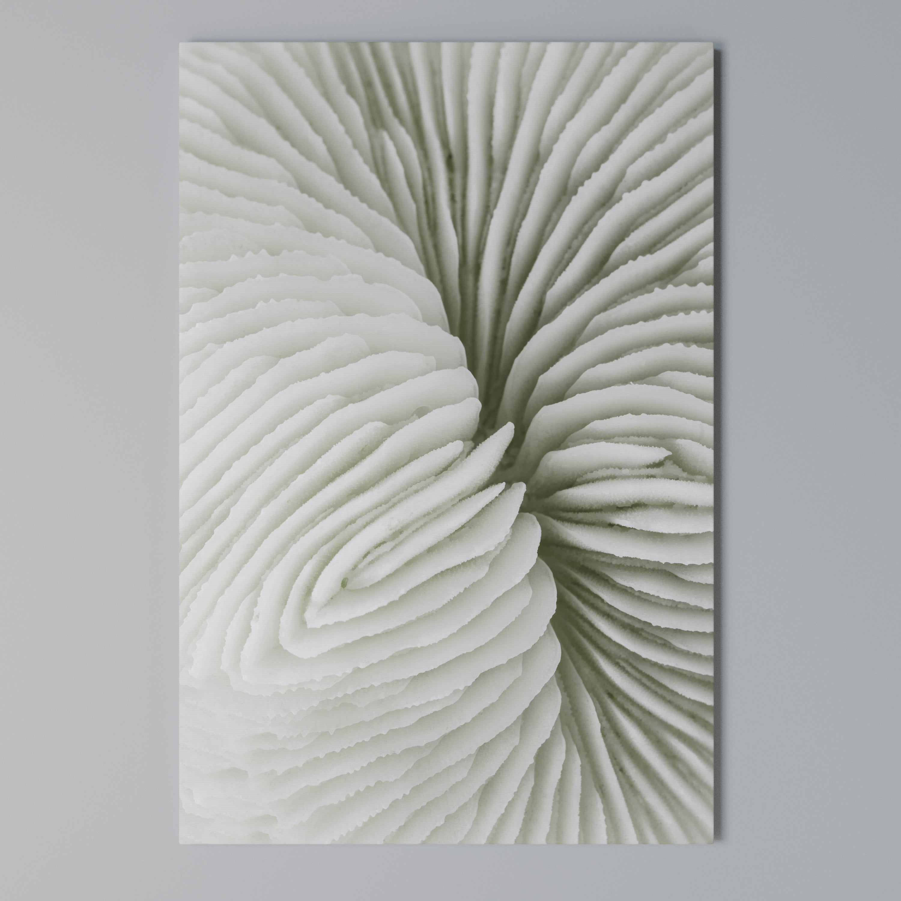 NATURE'S SYMMETRY Quadro em tela vertical