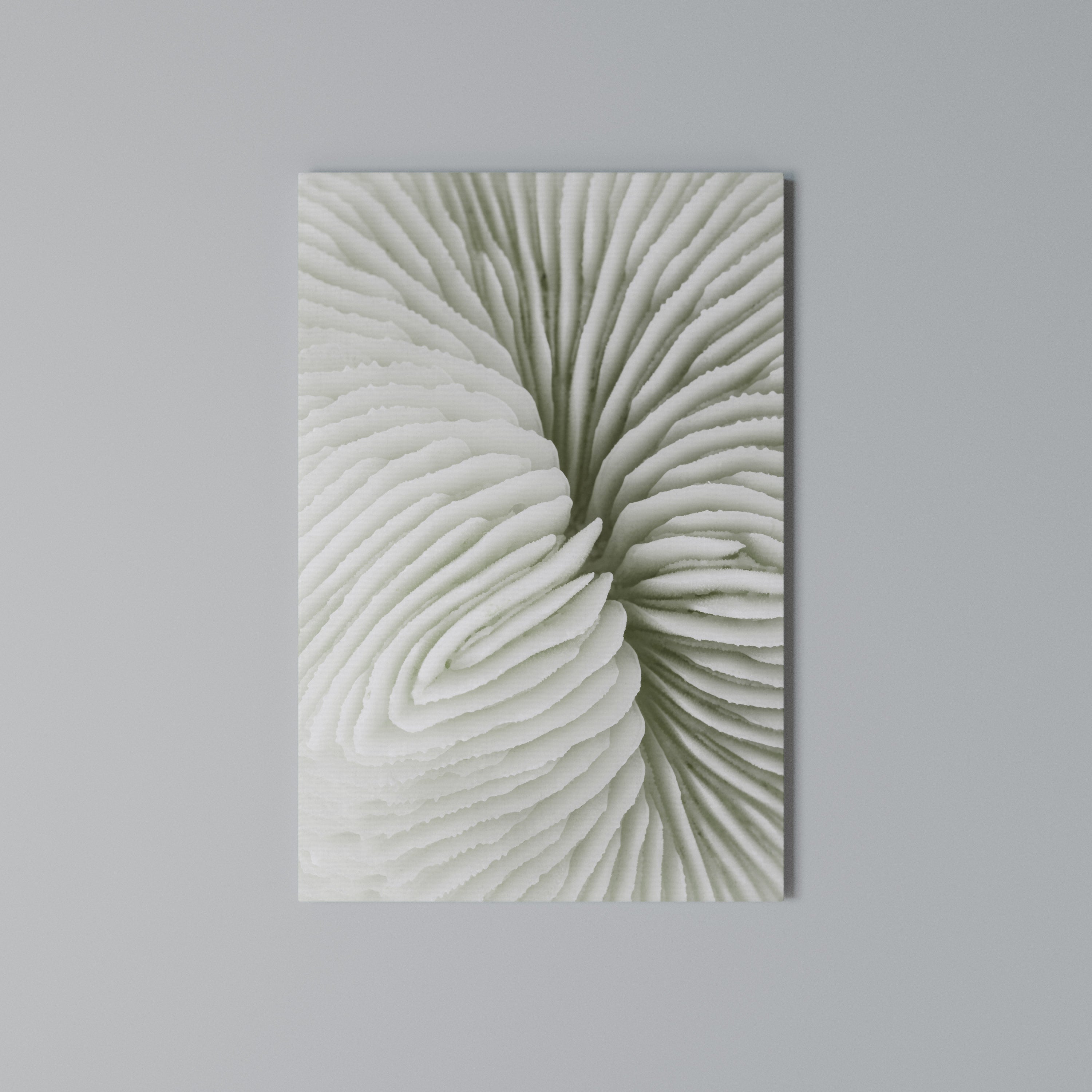NATURE'S SYMMETRY Quadro em tela vertical