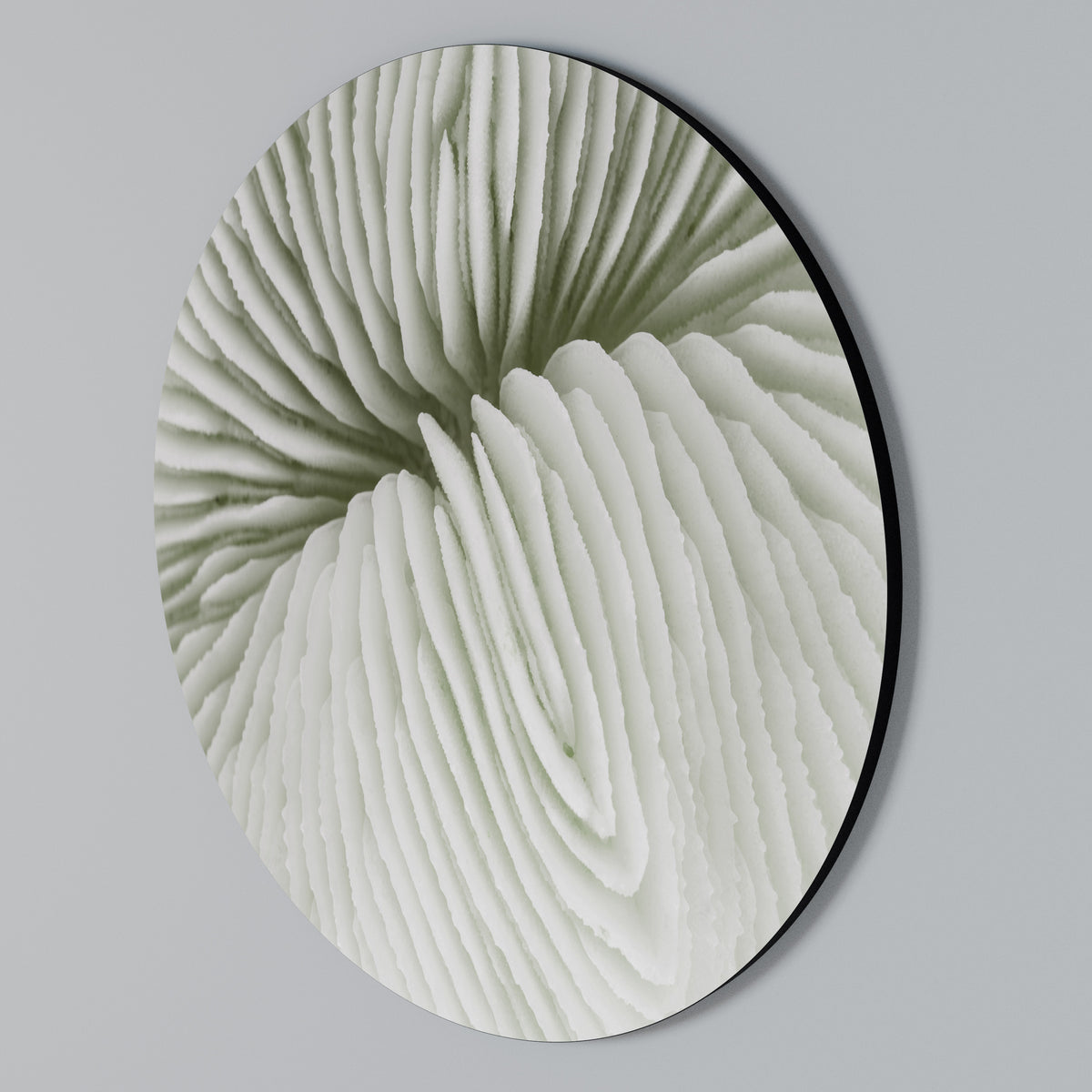 NATURE'S SYMMETRY Round Wall Art