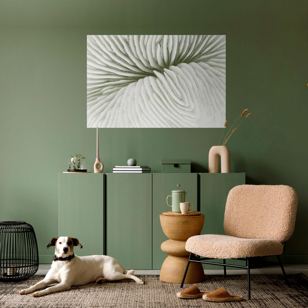 NATURE'S SYMMETRY Poster Horizontal Autocolante