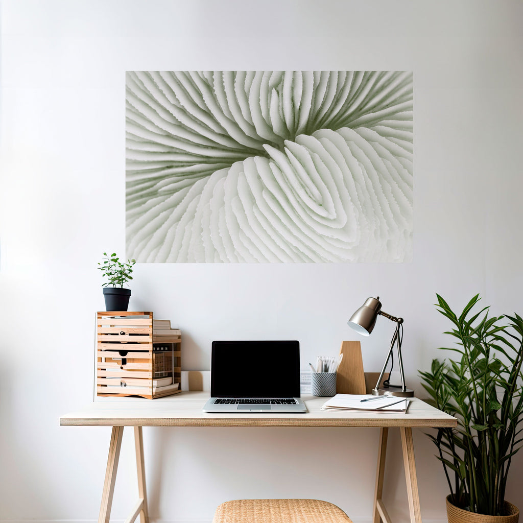 NATURE'S SYMMETRY Poster Horizontal Autocolante