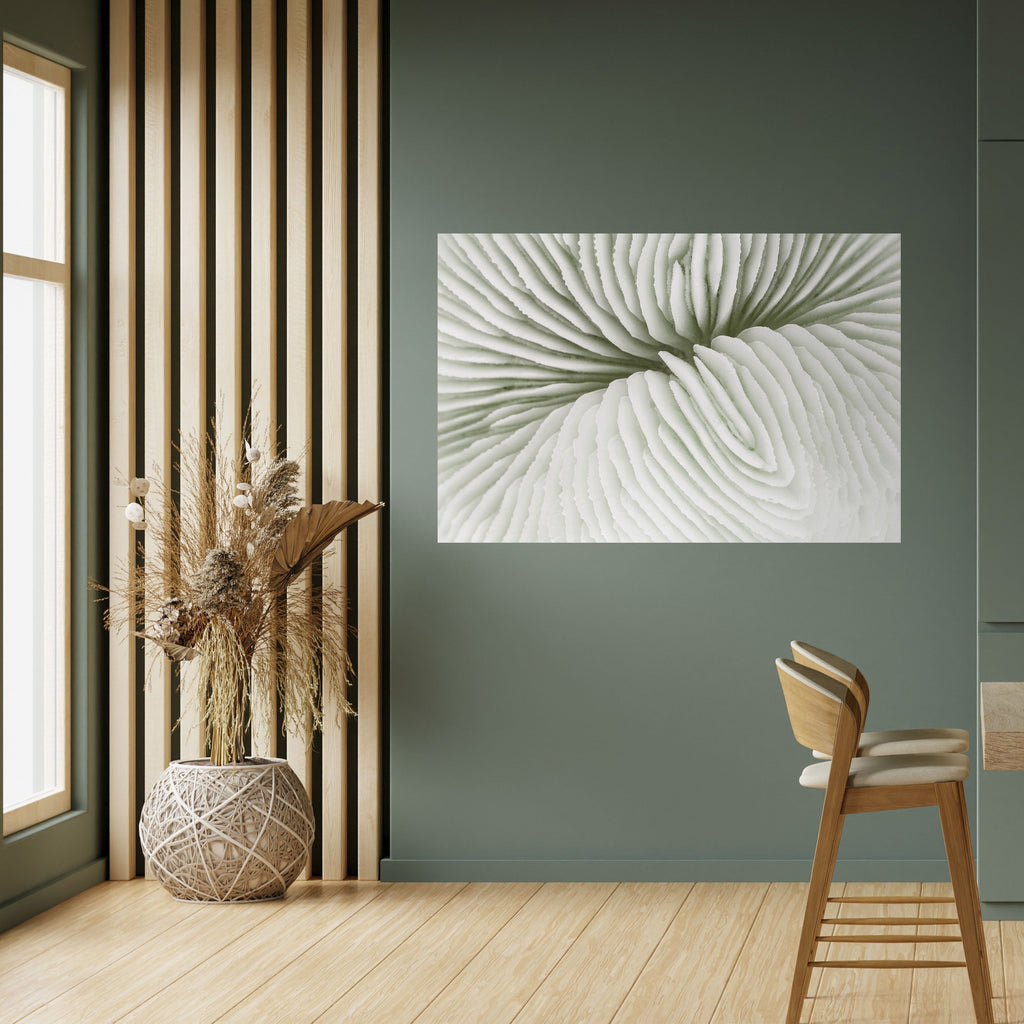 NATURE'S SYMMETRY Poster Horizontal Autocolante