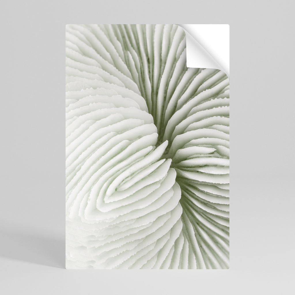 NATURE'S SYMMETRY Poster Vertical Autocolante