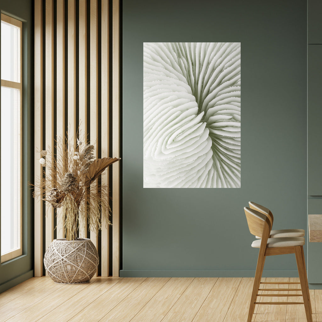 NATURE'S SYMMETRY Poster Vertical Autocolante