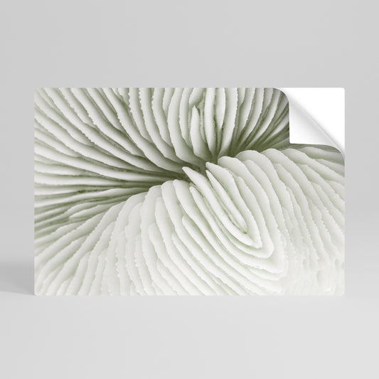 NATURE'S SYMMETRY Peel and Stick Horizontal Poster